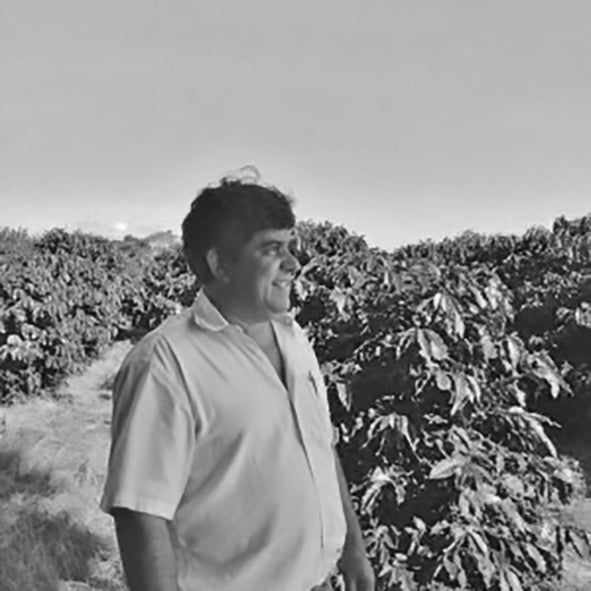 Mikrolot Sitio Da Torre fra Brasilien